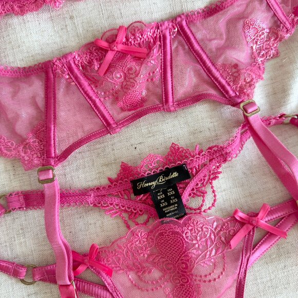 Honey Birdette Natalie Pink Set NWOT 32D xs - Picture 3 of 5